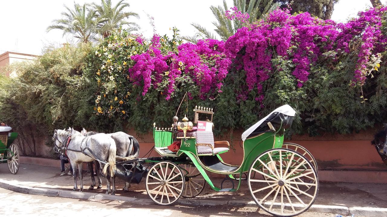 Mirador De Majorelle, The Apartment Is Only For Families Marrakesh Esterno foto