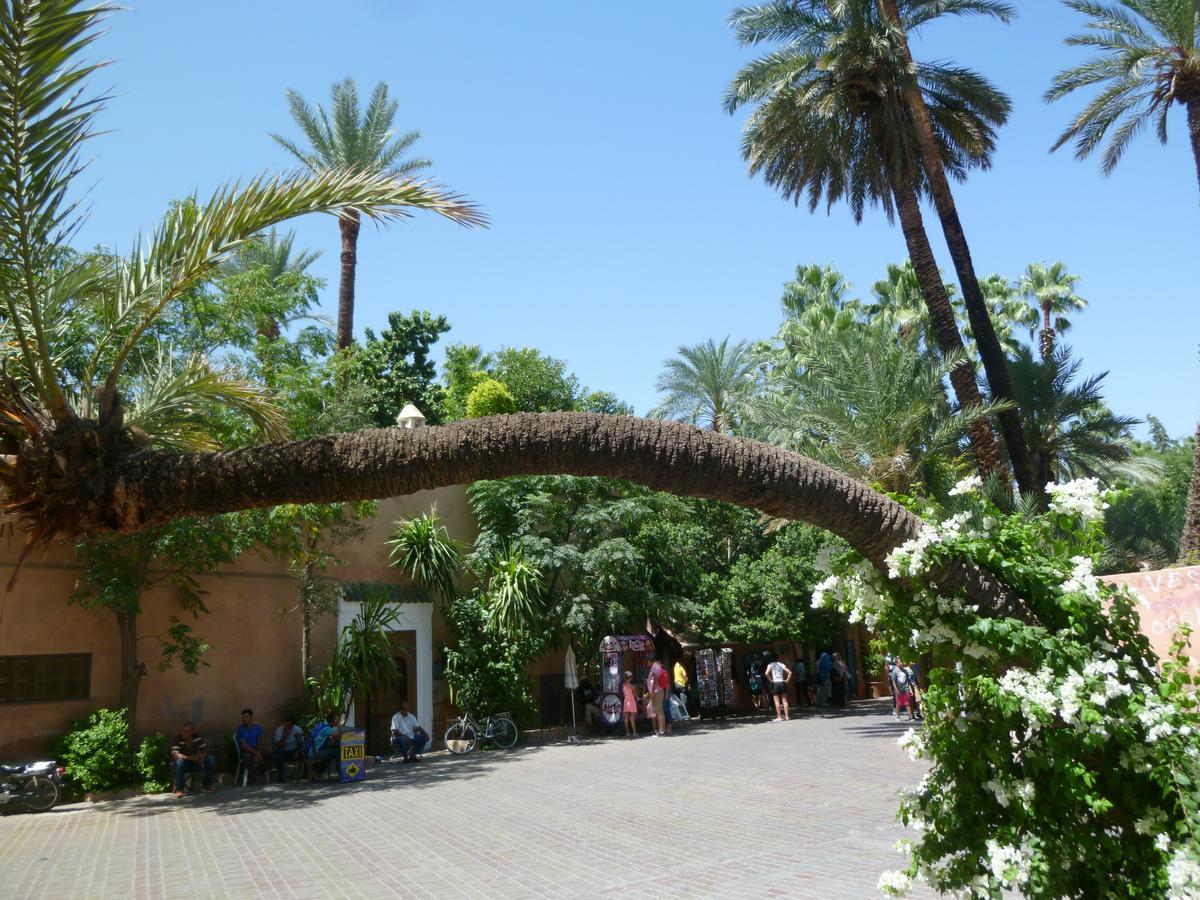 Mirador De Majorelle, The Apartment Is Only For Families Marrakesh Esterno foto